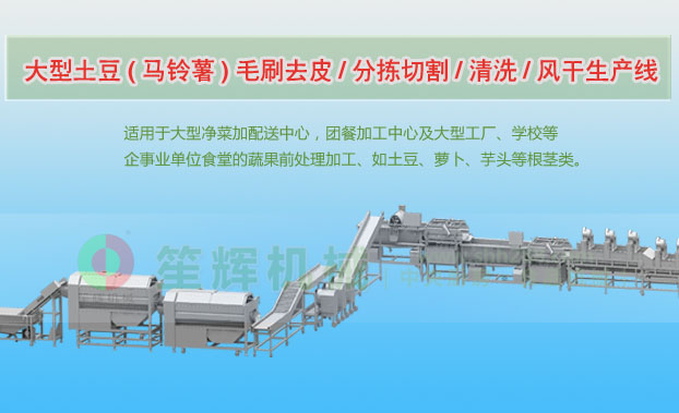 石城连续式土豆去皮清洗切割风干生产线